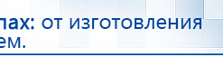 ДЭНАС - Аппликатор купить в Белебее, Электроды Дэнас купить в Белебее, Дэнас официальный сайт denasolm.ru